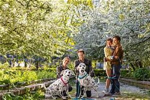 51. 4 kaarten voor de première van 101 dalmatiërs in het Luxor theater voor 1 november 2026